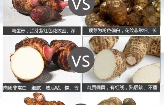 建昌红香芋