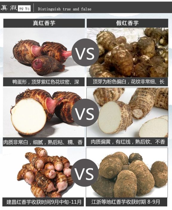 建昌红香芋