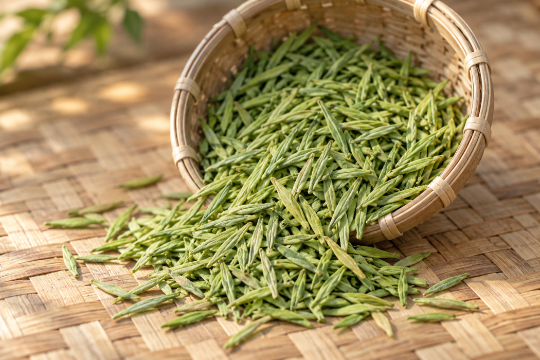 金坛雀舌茶