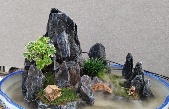孟河斧劈石盆景